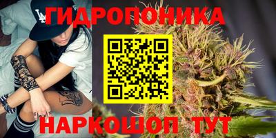 mdpv Краснознаменск