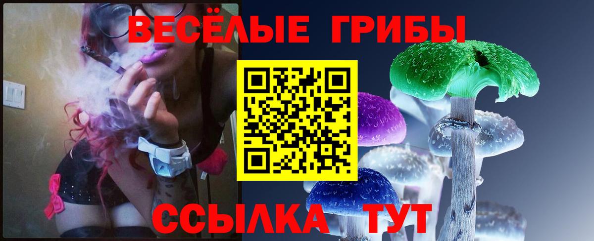 продажа наркотиков  Галлюциногенные грибы мухоморы  Вход с VPN  Клинцы  Псилоцибиновые грибы Magic Shrooms 