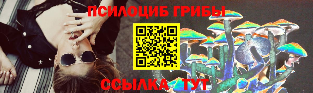 Псилоцибиновые грибы Psilocybe Клинцы